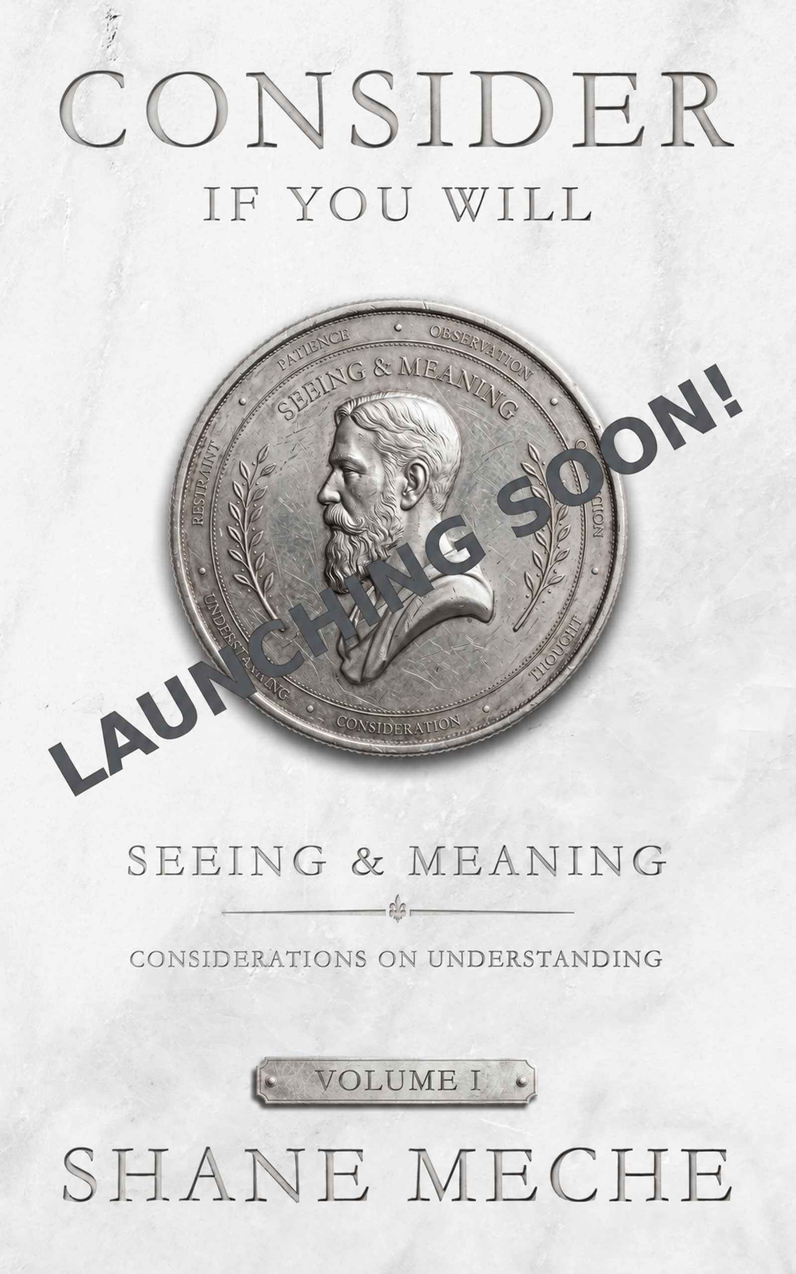 Consider If You Will, Volume I: Seeing and Meaning — Launching Soon